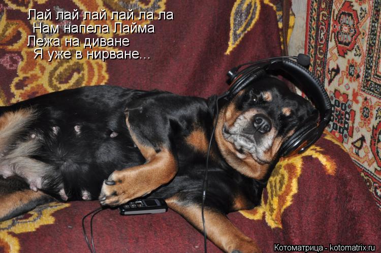 Лай лай лай лай ла ла Нам напела Лайма Лежа на диване Я уже в нирване...... Котоматрица: Лай лай лай лай ла ла Нам напела Лайма Лежа на диване Я уже в нирване...