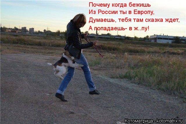 Почему когда бежишь Из России ты в Европу, Думаешь, тебя там сказка ждет, А попадаешь- в ж..пу!... Котоматрица: Почему когда бежишь Из России ты в Европу, Думаешь, тебя там сказка ждет, А попадаешь- в ж..пу!
