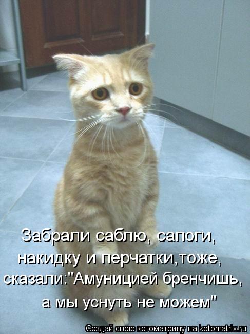 Котоматрица: Забрали саблю, сапоги, сказали:"Амуницией бренчишь, а мы уснуть не можем" накидку и перчатки,тоже,