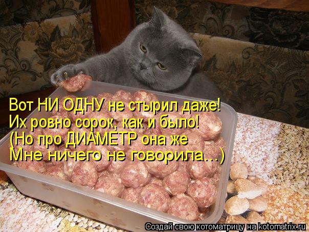 Котоматрица: Вот НИ ОДНУ не стырил даже! Их ровно сорок, как и было! (Но про ДИАМЕТР она же Мне ничего не говорила...)