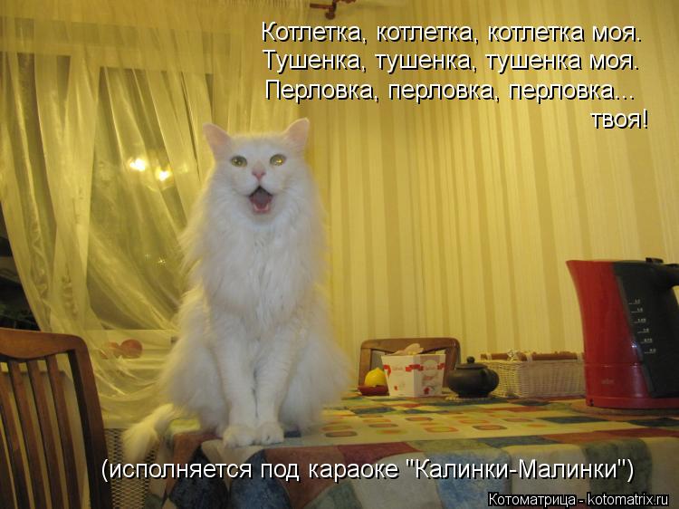 Котлетка, котлетка, котлетка моя. Тушенка, тушенка, тушенка моя. Перловка, перловка, перловка... тв... Котоматрица: Котлетка, котлетка, котлетка моя. Тушенка, тушенка, тушенка моя. Перловка, перловка, перловка... твоя! (исполняется под караоке "Калинки-Мали