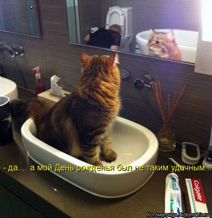 - да.... а мой День рожденья был не таким удачным........ Котоматрица: - да.... а мой День рожденья был не таким удачным.....