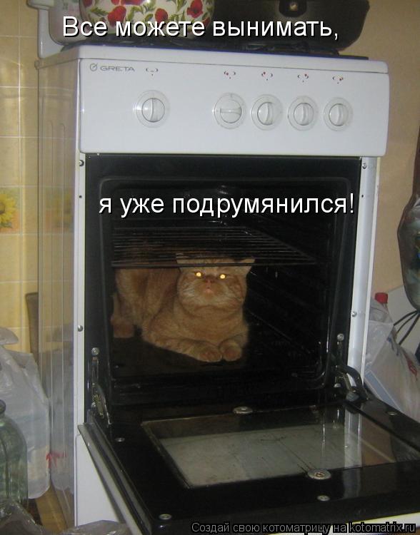 Все можете вынимать, я уже подрумянился!... Котоматрица: Все можете вынимать, я уже подрумянился!