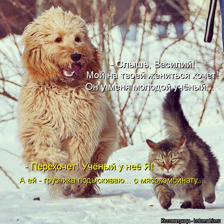 - Слышь, Василий! Он у меня молодой учёный... - Перехочет! Учёный у неё Я! А ей - грузчика подыскиваю... Котоматрица: - Слышь, Василий! Он у меня молодой учёный... - Перехочет! Учёный у неё Я! А ей - грузчика подыскиваю... с мясокомбинату... Мой на твоей жениться хо