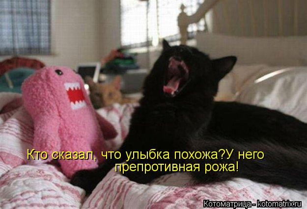 Кто сказал, что улыбка похожа?У него препротивная рожа!... Котоматрица: Кто сказал, что улыбка похожа?У него препротивная рожа!