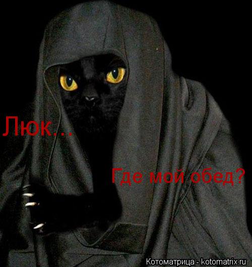 Котоматрица: Люк... Где мой обед?