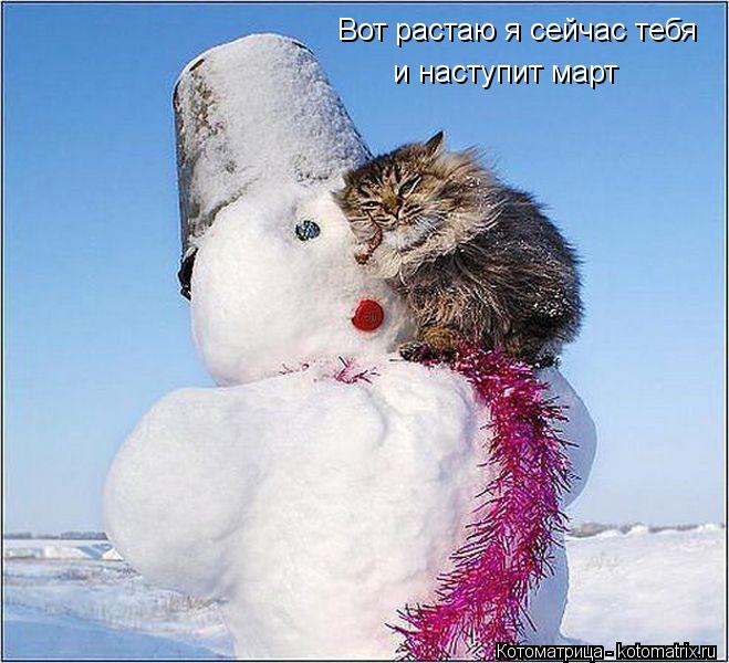 Вот растаю я сейчас тебя и наступит март... Котоматрица: Вот растаю я сейчас тебя и наступит март
