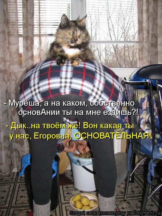 - Мурёша, а на каком, собственно основАнии ты на мне ездишь?! - Дык..на твоём же! Вон какая ты у нас,... Котоматрица: - Мурёша, а на каком, собственно основАнии ты на мне ездишь?! - Дык..на твоём же! Вон какая ты у нас, Егоровна, ОСНОВАТЕЛЬНАЯ!