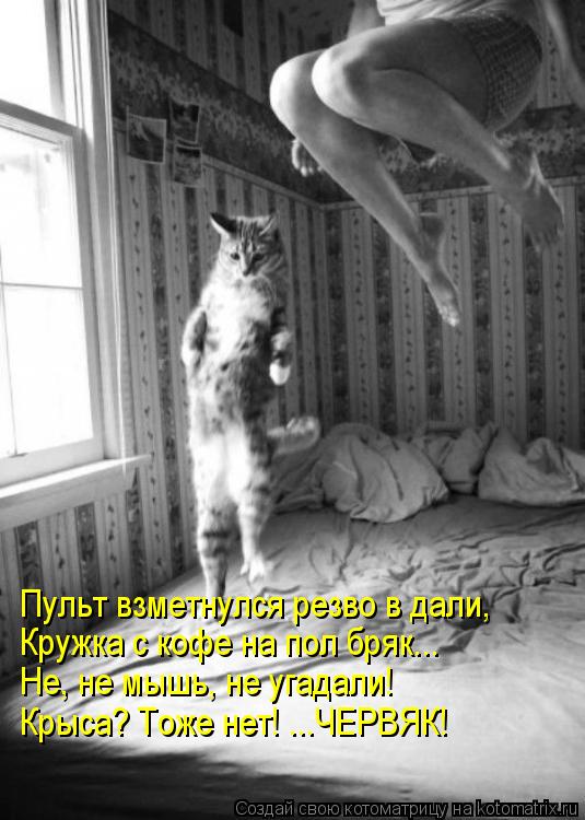 Котоматрица: Пульт взметнулся резво в дали, Кружка с кофе на пол бряк... Не, не мышь, не угадали! Крыса? Тоже нет! ...ЧЕРВЯК!
