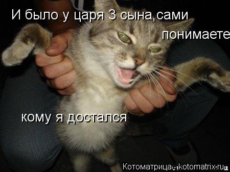 И было у царя 3 сына,сами понимаете кому я достался... Котоматрица: И было у царя 3 сына,сами понимаете кому я достался