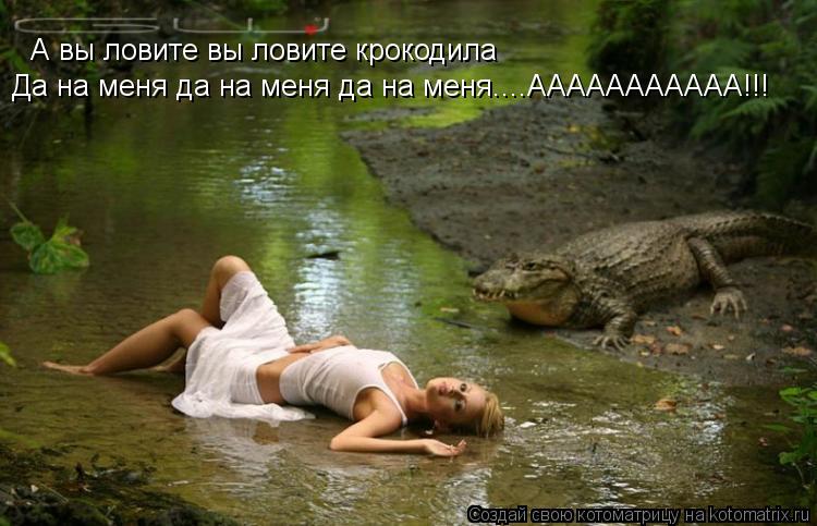 Котоматрица: А вы ловите вы ловите крокодила Да на меня да на меня да на меня....ААААААААААА!!!