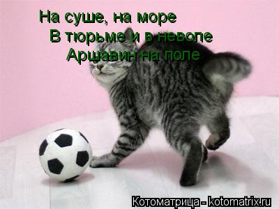 Котоматрица: На суше, на море В тюрьме и в неволе Аршавин на поле