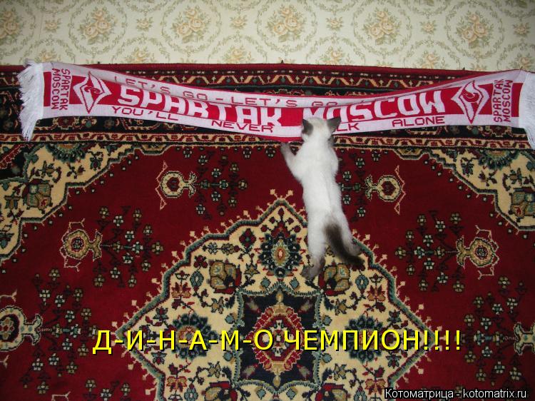 Д-И-Н-А-М-О ЧЕМПИОН!!!!... Котоматрица: Д-И-Н-А-М-О ЧЕМПИОН!!!!