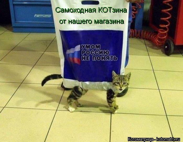 Самоходная КОТзина от нашего магазина... Котоматрица: Самоходная КОТзина от нашего магазина