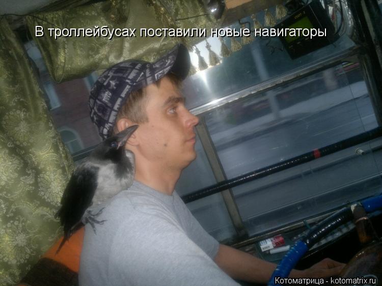 В троллейбусах поставили новые навигаторы... Котоматрица: В троллейбусах поставили новые навигаторы