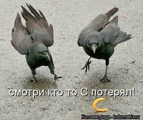 смотри кто то С потерял!... Котоматрица: смотри кто то С потерял!
