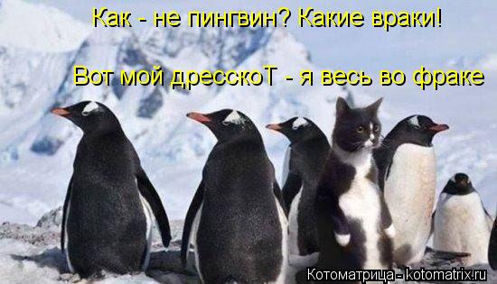 Как - не пингвин? Какие враки! Вот мой дресскоТ - я весь во фраке... Котоматрица: Как - не пингвин? Какие враки! Вот мой дресскоТ - я весь во фраке