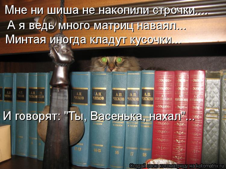 Мне ни шиша не накопили строчки.... А я ведь много матриц наваял... Минтая иногда кладут кусочки... И... Котоматрица: Мне ни шиша не накопили строчки.... А я ведь много матриц наваял... Минтая иногда кладут кусочки... И говорят: "Ты, Васенька, нахал"...