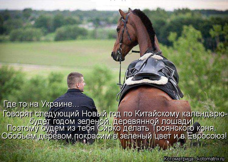 Говорят следующий Новый год по Китайскому календарю- будет годом зеленой, деревянной лошади! Обобьем ... Котоматрица: Говорят следующий Новый год по Китайскому календарю- будет годом зеленой, деревянной лошади! Обобьем деревом,покрасим в зеленый цвет и в Ев