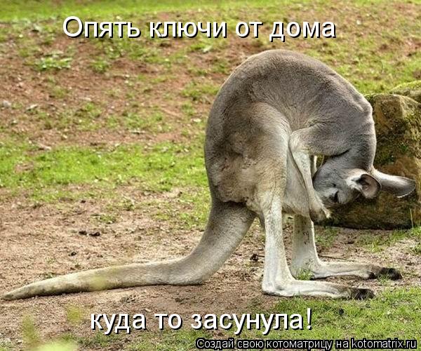 Опять ключи от дома куда то засунула!... Котоматрица: Опять ключи от дома куда то засунула!