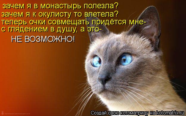 зачем я в монастырь полезла? зачем я к окулисту то влетела? НЕ ВОЗМОЖНО! теперь очки совмещать придёт... Котоматрица: зачем я в монастырь полезла? зачем я к окулисту то влетела? НЕ ВОЗМОЖНО! теперь очки совмещать придётся мне- с глядением в душу, а это-