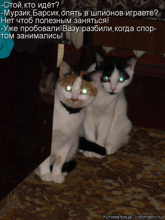 -Стой,кто идёт? -Мурзик,Барсик,опять в шпионов играете? Нет чтоб полезным заняться! -Уже пробовали!Ва... Котоматрица: -Стой,кто идёт? -Мурзик,Барсик,опять в шпионов играете? Нет чтоб полезным заняться! -Уже пробовали!Вазу разбили,когда спор- том занимались!