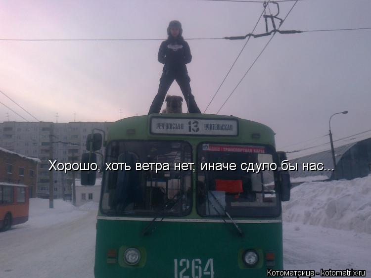 Хорошо, хоть ветра нет, иначе сдуло бы нас...... Котоматрица: Хорошо, хоть ветра нет, иначе сдуло бы нас...