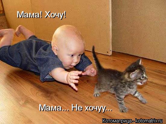 Мама! Хочу! Мама... Не хочуу...... Котоматрица: Мама! Хочу! Мама... Не хочуу...