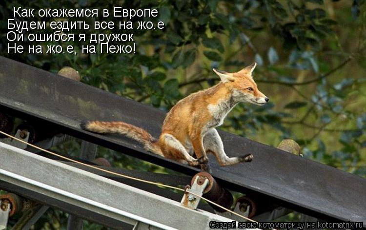 Как окажемся в Европе Будем ездить все на жо.е Ой ошибся я дружок Не на жо.е, на Пежо!... Котоматрица: Как окажемся в Европе Будем ездить все на жо.е Ой ошибся я дружок Не на жо.е, на Пежо!