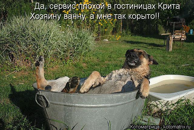 Да, сервис плохой в гостиницах Крита Хозяину ванну, а мне так корыто!!... Котоматрица: Да, сервис плохой в гостиницах Крита Хозяину ванну, а мне так корыто!!