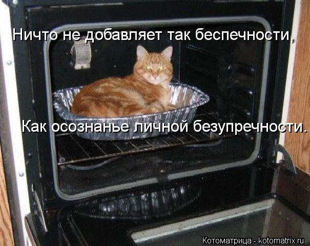 Ничто не добавляет так беспечности, Как осознанье личной безупречности.... Котоматрица: Ничто не добавляет так беспечности, Как осознанье личной безупречности.
