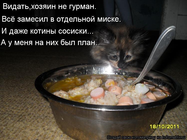 Видать,хозяин не гурман. Всё замесил в отдельной миске. И даже котины сосиски... А у меня на них был ... Котоматрица: Видать,хозяин не гурман. Всё замесил в отдельной миске. И даже котины сосиски... А у меня на них был план.