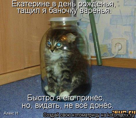 Екатерине в день рожденья, тащил я баночку варенья. Быстро я его принёс, но, видать, не всё донёс. Ал... Котоматрица: Екатерине в день рожденья, тащил я баночку варенья. Быстро я его принёс, но, видать, не всё донёс. Алекс Н.