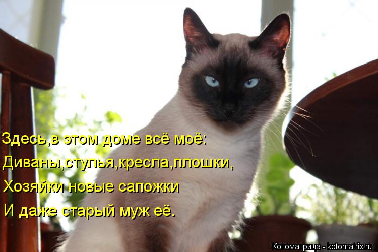 Здесь,в этом доме всё моё: Диваны,стулья,кресла,плошки, Хозяйки новые сапожки И даже старый муж её.... Котоматрица: Здесь,в этом доме всё моё: Диваны,стулья,кресла,плошки, Хозяйки новые сапожки И даже старый муж её.