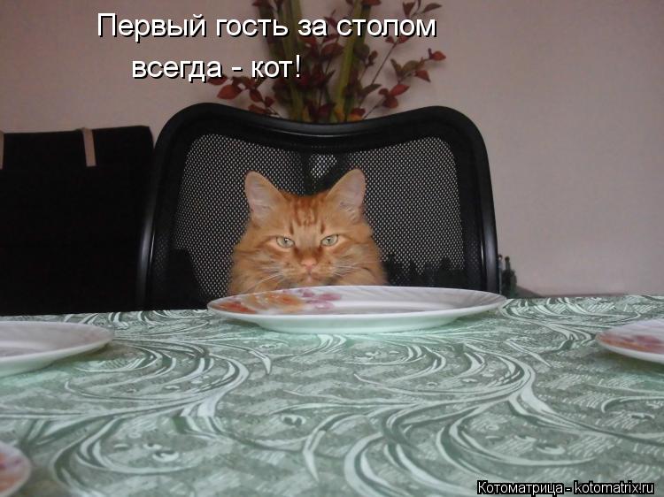 Первый гость за столом всегда - кот!... Котоматрица: Первый гость за столом всегда - кот!