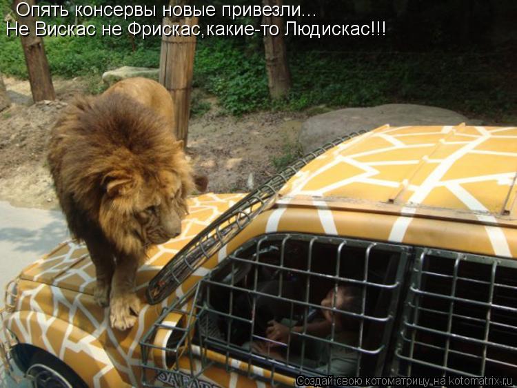 Не Вискас не Фрискас,какие-то Людискас!!! Опять консервы новые привезли...... Котоматрица: Не Вискас не Фрискас,какие-то Людискас!!! Опять консервы новые привезли...