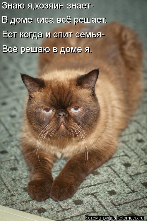 Знаю я,хозяин знает- В доме киса всё решает. Ест когда и спит семья- Всё решаю в доме я.... Котоматрица: Знаю я,хозяин знает- В доме киса всё решает. Ест когда и спит семья- Всё решаю в доме я.