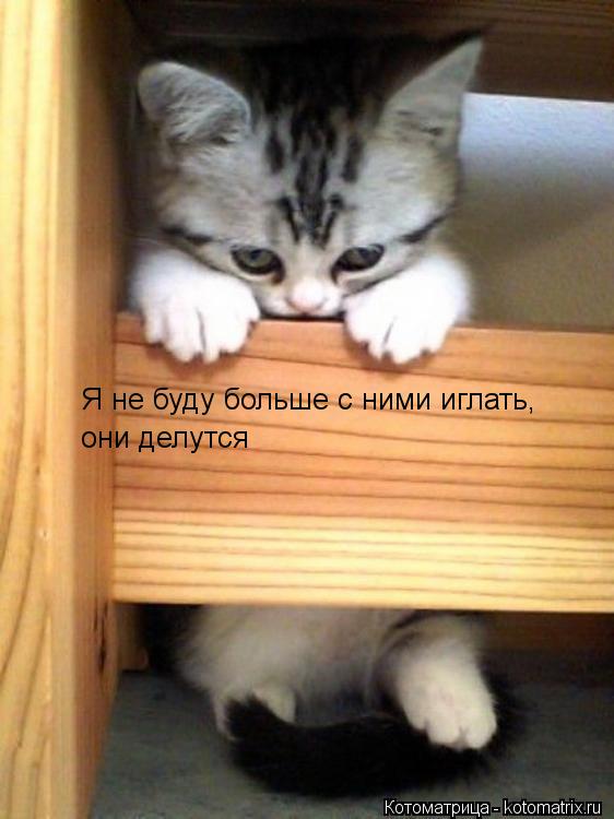 Я не буду больше с ними иглать, они делутся... Котоматрица: Я не буду больше с ними иглать, они делутся