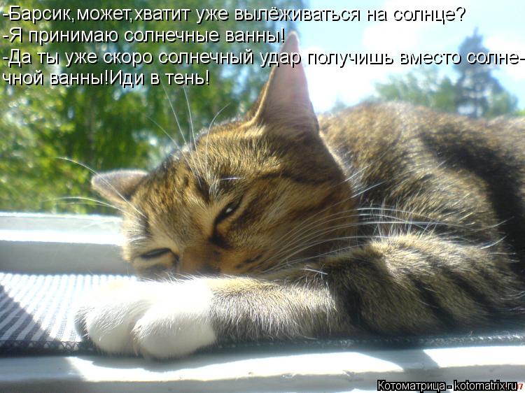-Барсик,может,хватит уже вылёживаться на солнце? -Я принимаю солнечные ванны! -Да ты уже скоро солнеч... Котоматрица: -Барсик,может,хватит уже вылёживаться на солнце? -Я принимаю солнечные ванны! -Да ты уже скоро солнечный удар получишь вместо солне- чной ван
