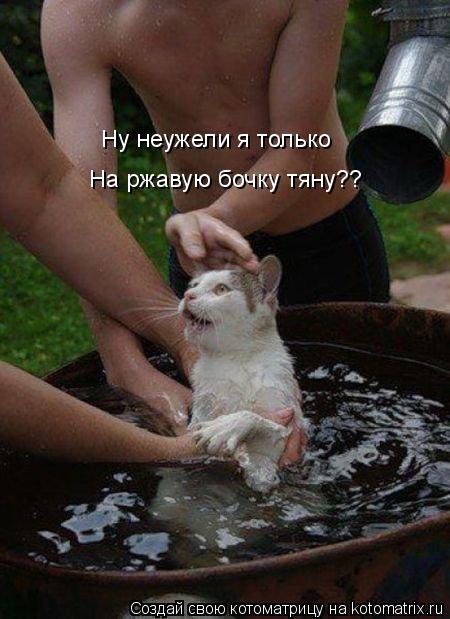 Ну неужели я только На ржавую бочку тяну??... Котоматрица: Ну неужели я только На ржавую бочку тяну??