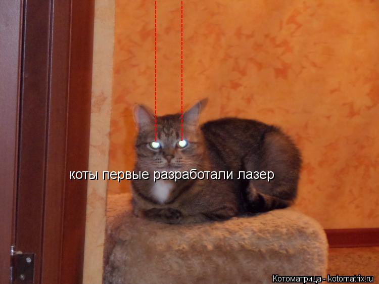 -------------------------------- -------------------------------- коты первые разработали лазер... Котоматрица: -------------------------------- -------------------------------- коты первые разработали лазер