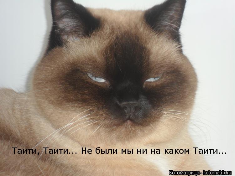 Таити, Таити... Не были мы ни на каком Таити...... Котоматрица: Таити, Таити... Не были мы ни на каком Таити...