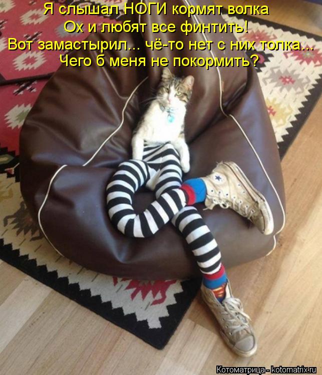 Я слышал НОГИ кормят волка Чего б меня не покормить? Ох и любят все финтить! Вот замастырил... чё-то ... Котоматрица: Я слышал НОГИ кормят волка Чего б меня не покормить? Ох и любят все финтить! Вот замастырил... чё-то нет с них толка...