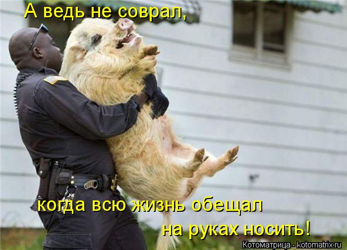 А ведь не соврал, когда всю жизнь обещал на руках носить!... Котоматрица: А ведь не соврал, когда всю жизнь обещал на руках носить!