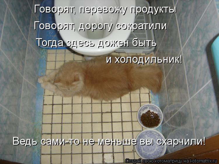 Говорят, перевожу продукты Говорят, дорогу сократили Тогда здесь дожен быть и холодильник! Ведь сам... Котоматрица: Говорят, перевожу продукты Говорят, дорогу сократили Тогда здесь дожен быть и холодильник! Ведь сами-то не меньше вы схарчили!