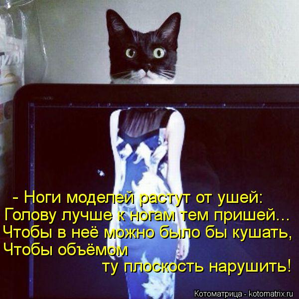 - Ноги моделей растут от ушей: Голову лучше к ногам тем пришей... Чтобы в неё можно было бы кушать, Ч... Котоматрица: - Ноги моделей растут от ушей: Голову лучше к ногам тем пришей... Чтобы в неё можно было бы кушать, Чтобы объёмом ту плоскость нарушить!