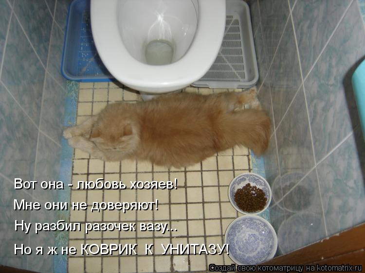 Вот она - любовь хозяев! Мне они не доверяют! Ну разбил разочек вазу... Но я ж не КОВРИК К УНИТАЗУ!... Котоматрица: Вот она - любовь хозяев! Мне они не доверяют! Ну разбил разочек вазу... Но я ж не КОВРИК К УНИТАЗУ!