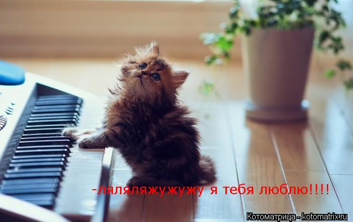 Котоматрица: -ляляляжужужу я тебя люблю!!!!