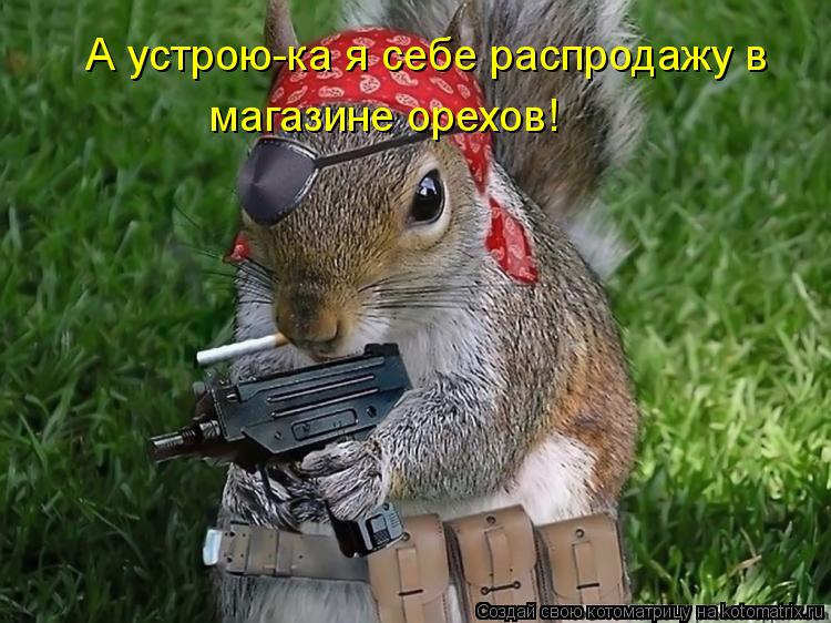 А устрою-ка я себе распродажу в магазине орехов!... Котоматрица: А устрою-ка я себе распродажу в магазине орехов!