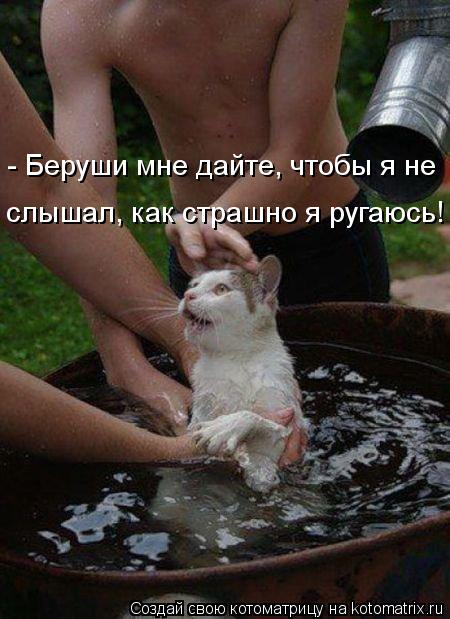 слышал, как страшно я ругаюсь! - Беруши мне дайте, чтобы я не... Котоматрица: слышал, как страшно я ругаюсь! - Беруши мне дайте, чтобы я не